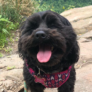 Meet your Posher, Jamie